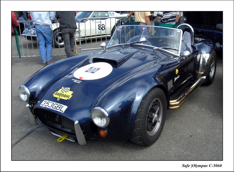 2004 - 05 - AC Cobra 9.JPG